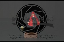 ref. photo 3643844