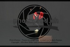 ref. photo 3643845