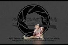 ref. photo 3643870