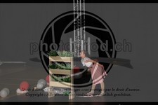 ref. photo 3643916
