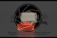 ref. photo 3643926