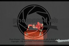 ref. photo 3643960