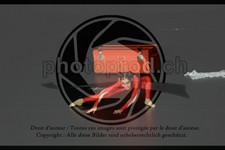 ref. photo 3643965