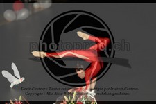 ref. photo 3643976