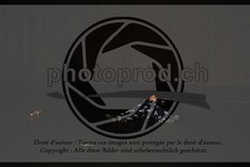 ref. photo 3644001