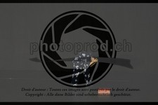 ref. photo 3644029