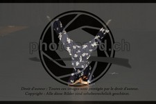 ref. photo 3644046