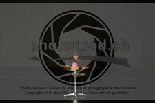 ref. photo 3644069