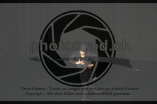 ref. photo 3644080