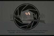 ref. photo 3644083
