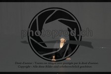ref. photo 3644088