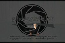 ref. photo 3644089