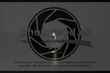 ref. photo 3644103