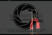 ref. photo 3644524