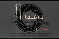 ref. photo 3644550
