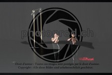 ref. photo 3644551