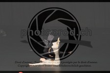 ref. photo 3644745