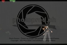 ref. photo 3644746