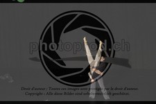 ref. photo 3644754