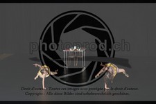 ref. photo 3644801