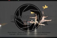 ref. photo 3644820