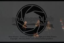 ref. photo 3645067