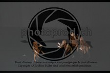 ref. photo 3645070