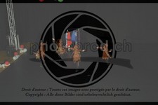 ref. photo 3645080