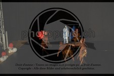 ref. photo 3645081