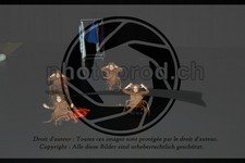 ref. photo 3645094