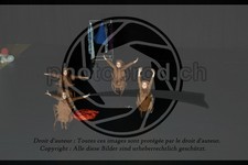 ref. photo 3645095