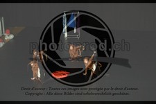 ref. photo 3645096