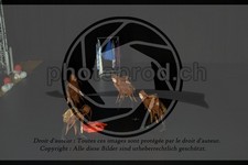 ref. photo 3645098