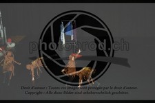 ref. photo 3645111