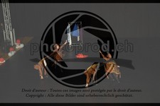 ref. photo 3645112