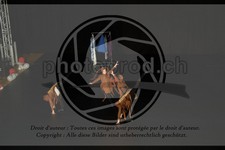 ref. photo 3645113