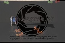 ref. photo 3645116