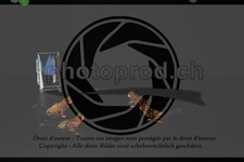 ref. photo 3645118