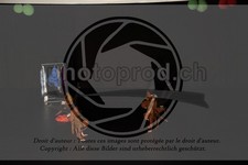 ref. photo 3645119