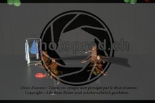 ref. photo 3645121