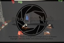 ref. photo 3645129