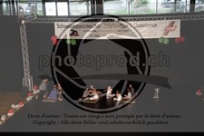 ref. photo 3645216