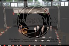 ref. photo 3645280