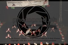 ref. photo 3645394