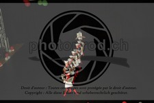 ref. photo 3645479