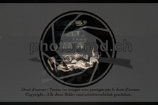 ref. photo 3645620