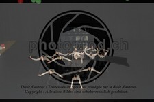ref. photo 3645623