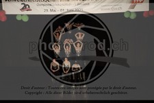ref. photo 3645645
