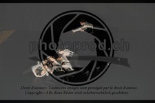 ref. photo 3645686