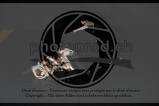 ref. photo 3645688